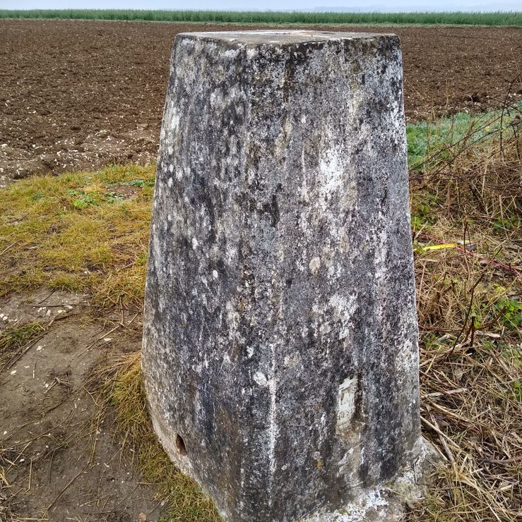 WW Adopted Trig Point 28th March 2022 (2)